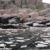 P8210726