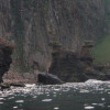 P8210734