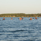 3721_Rotur